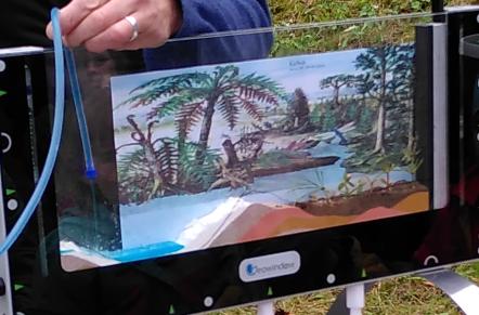 Die Enstehung fossiler Brennstoffe in der Carbonzeit